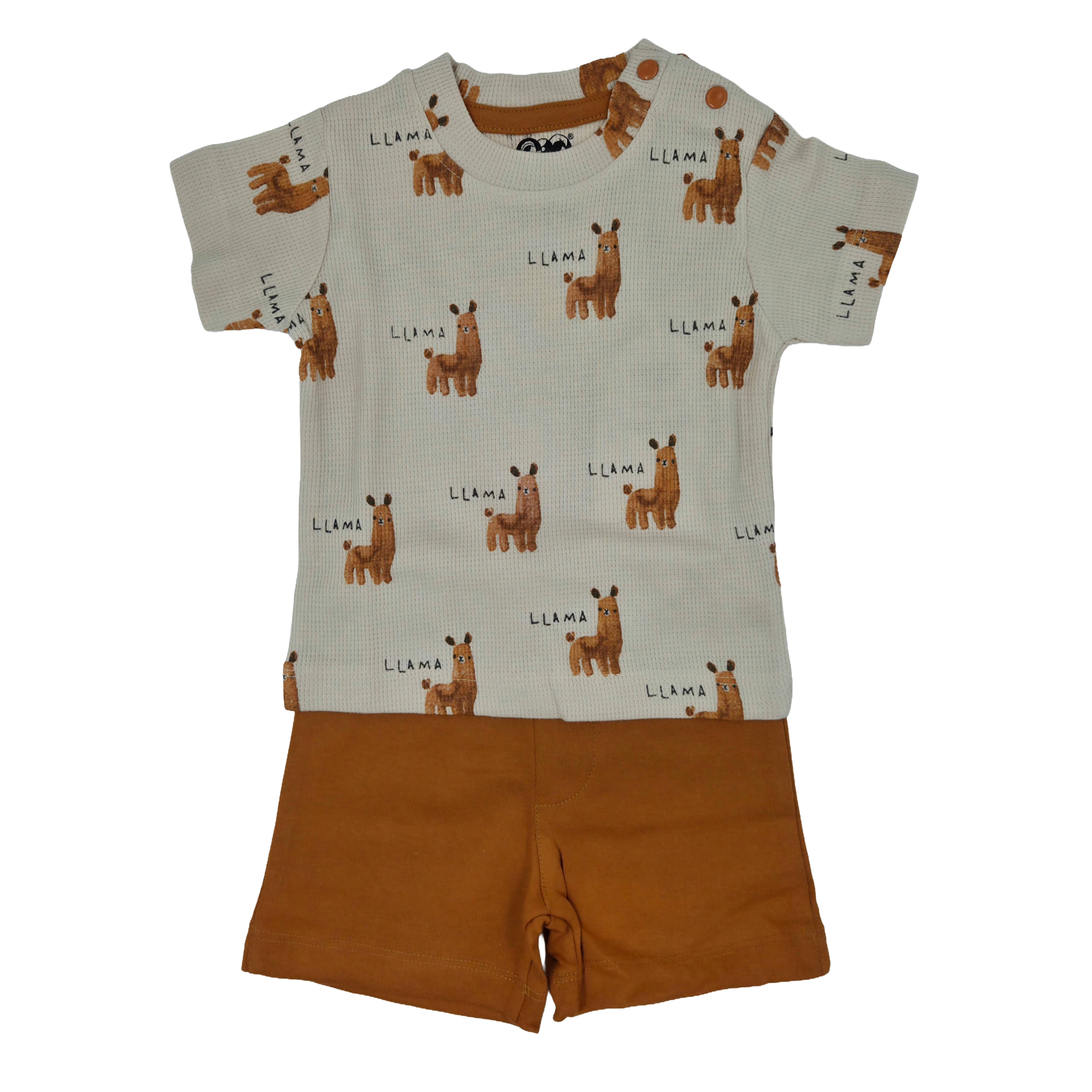 Baby Soft Cotton Kidswear Shorts and T-shirt Combo – Cute Animal Prints  🌈 Sizes Available: M, L, XL        10% Off + Free Delivery